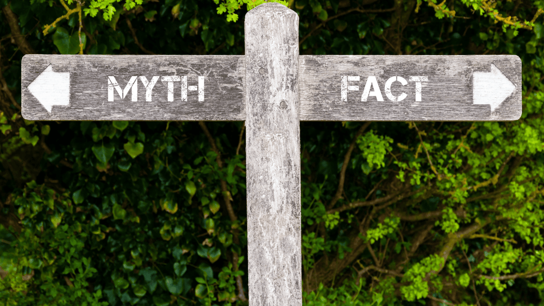 Skincare Myths Every Teen Should Stop Believing (Like Right Now)