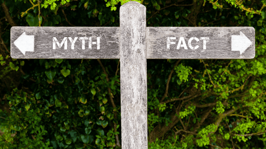 Skincare Myths Every Teen Should Stop Believing (Like Right Now)